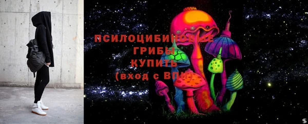 мяу мяу мука Покачи